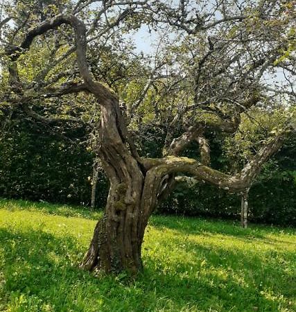 Maison Chaleureuse et écologique Villa Coyriere Esterno foto