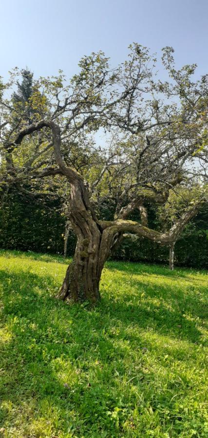 Maison Chaleureuse et écologique Villa Coyriere Esterno foto